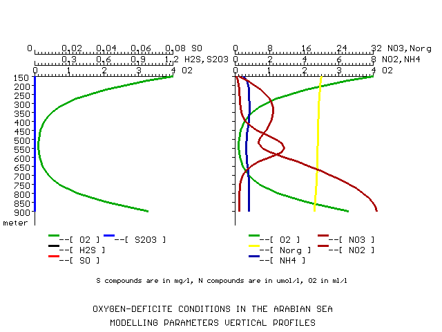 Calculated Fields Picture