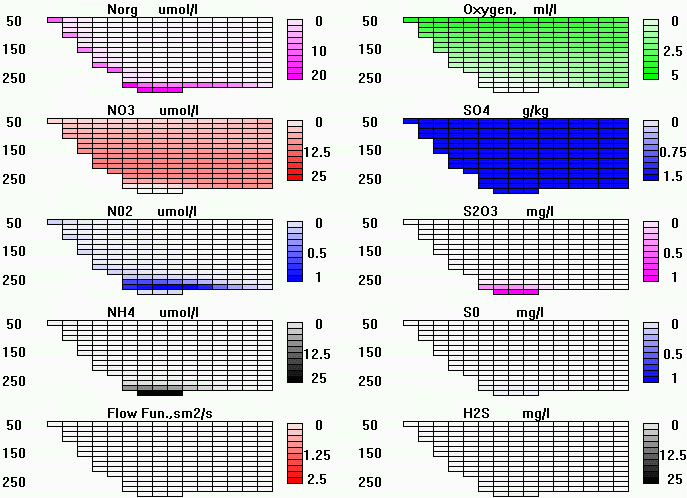 Calculated Fields Picture