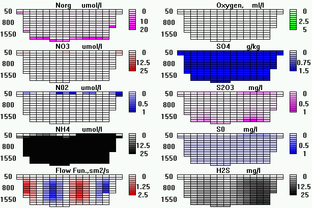 Calculated Fields Picture