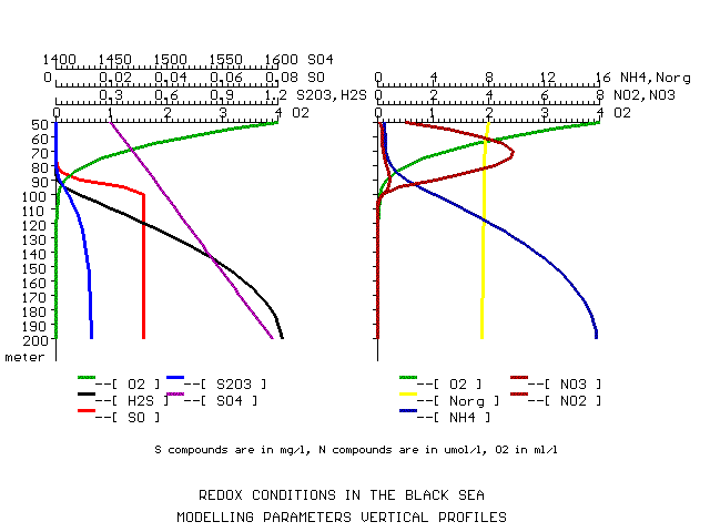 Calculated Fields Picture