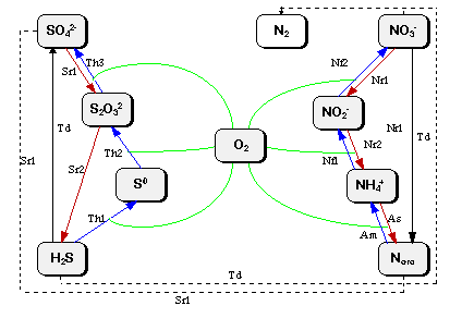 Scheme picture