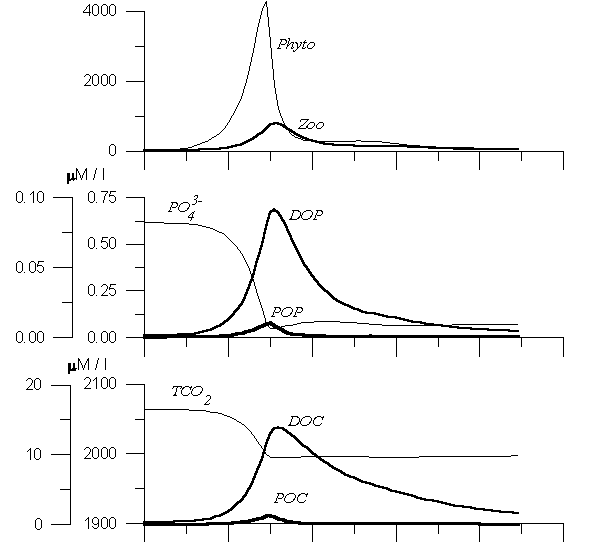 Biological and Phosphorus Parameters Variability