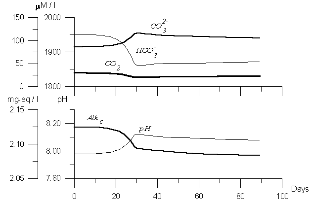 Carbonate System Parameters Variability