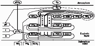 Model Scheme