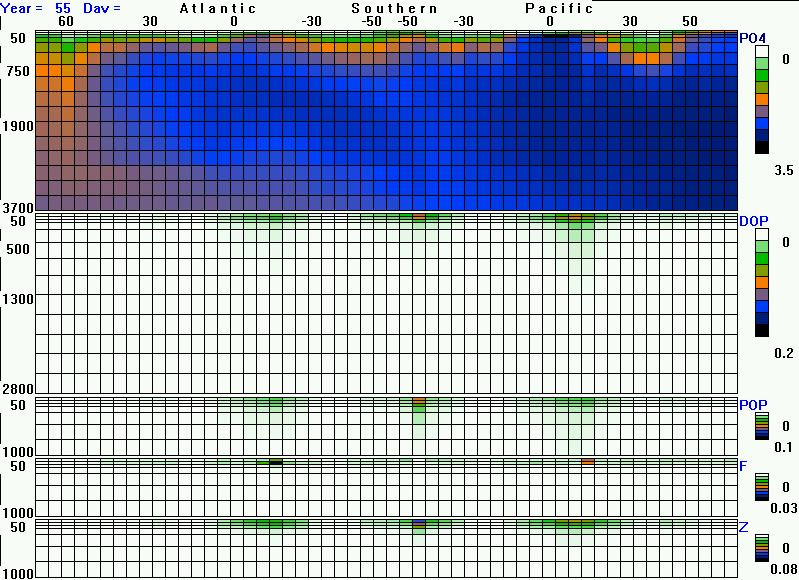 Calculated Fields Picture