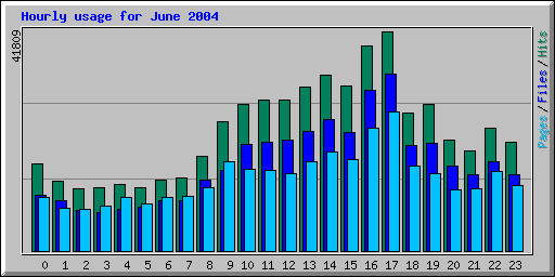 Hourly usage for June 2004